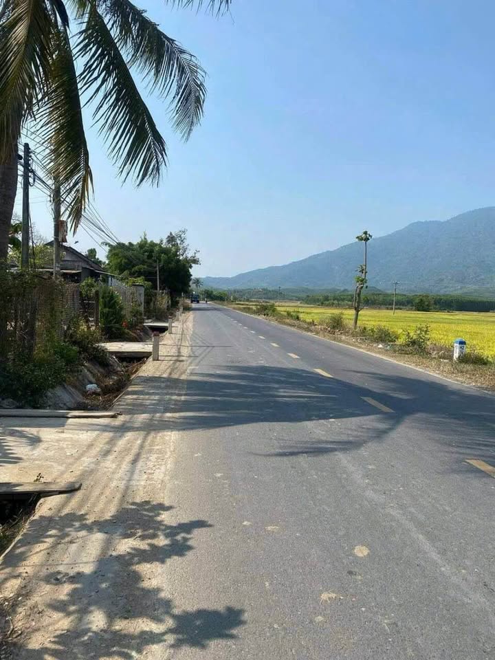 Đất nền Diên Lâm, Diên Khánh 184m² giá 1.03 tỷ - View đồng lúa tuyệt đẹp!