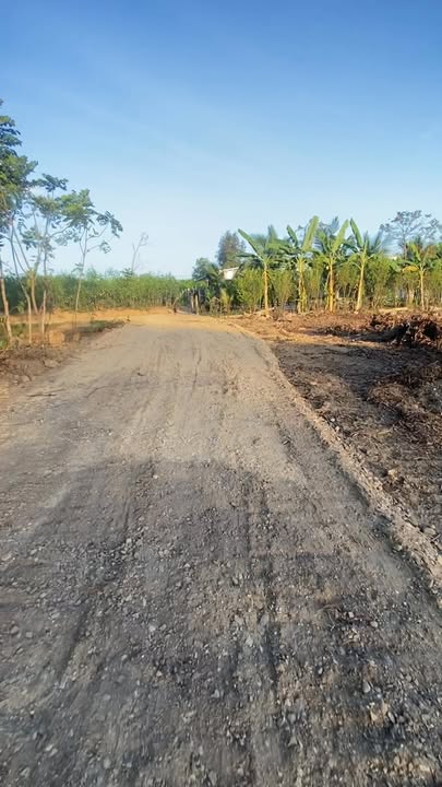 Đất nền Xuân Thọ, Đồng Nai 1000m² giá chỉ 600 triệu - Đầu tư sinh lời bền vững!