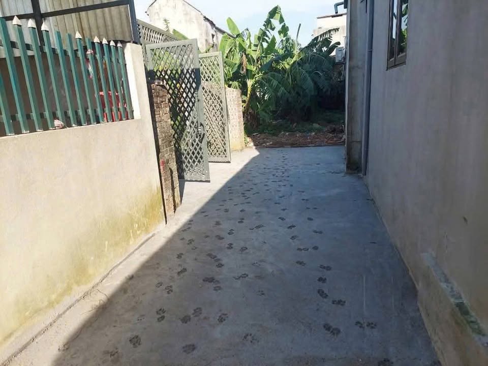 Đất thổ cư Cần Kiệm Thạch Thất 112m² giá thỏa thuận - Đường ô tô vào tận nơi!