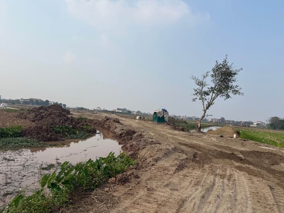 Đất nền thôn An Trụ, Lương Tài, Bắc Ninh 100m² giá 2.3 tỷ - Cơ hội đầu tư tiềm năng!