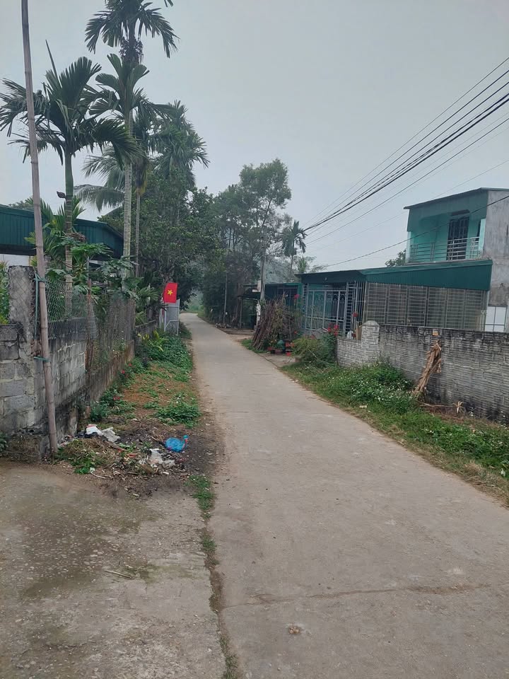 Đất nền chính chủ 240m² tại TDP Bình An, Tuyên Quang - Giá chỉ 1 tỷ!