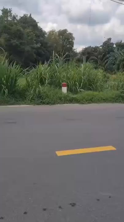 Đất mặt tiền tỉnh lộ 15, xã Phú Mỹ Hưng, Củ Chi 1.135m² giá 7.5 tỷ - Cơ hội đầu tư hấp dẫn!