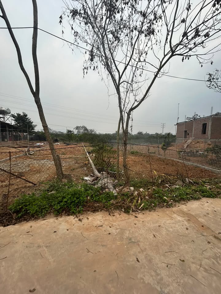 Đất nền Thị trấn Biển Động 210m² giá 930 triệu - Tiềm năng đầu tư vượt trội!