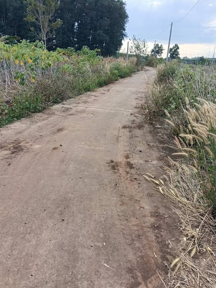 Đất nền Hưng Thịnh Trảng Bom 860m² giá 800 triệu - Sổ đỏ chính chủ!