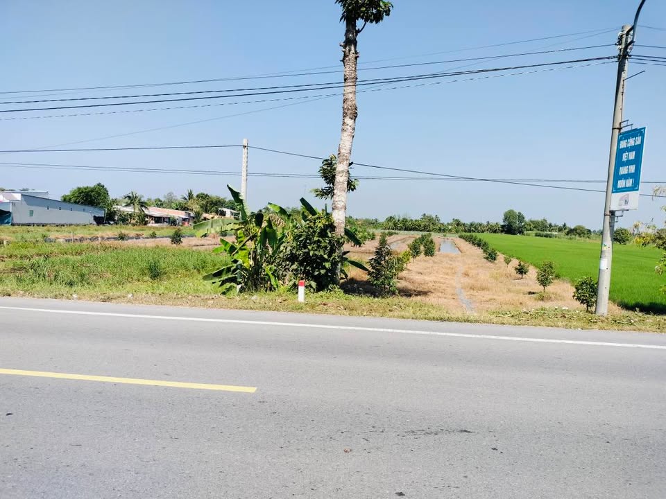 Mảnh đất sầu riêng 8.300m² tại xã Tân Hòa, Hậu Giang - Sẵn sàng đầu tư!