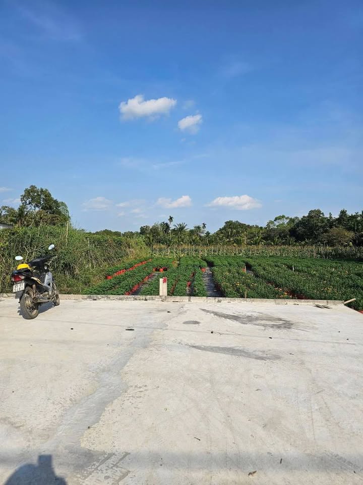 Đất nền thổ cư 165.5m² mặt tiền Nguyễn Viết Xuân, Cần Thơ - Giá tốt 1.49 tỷ!