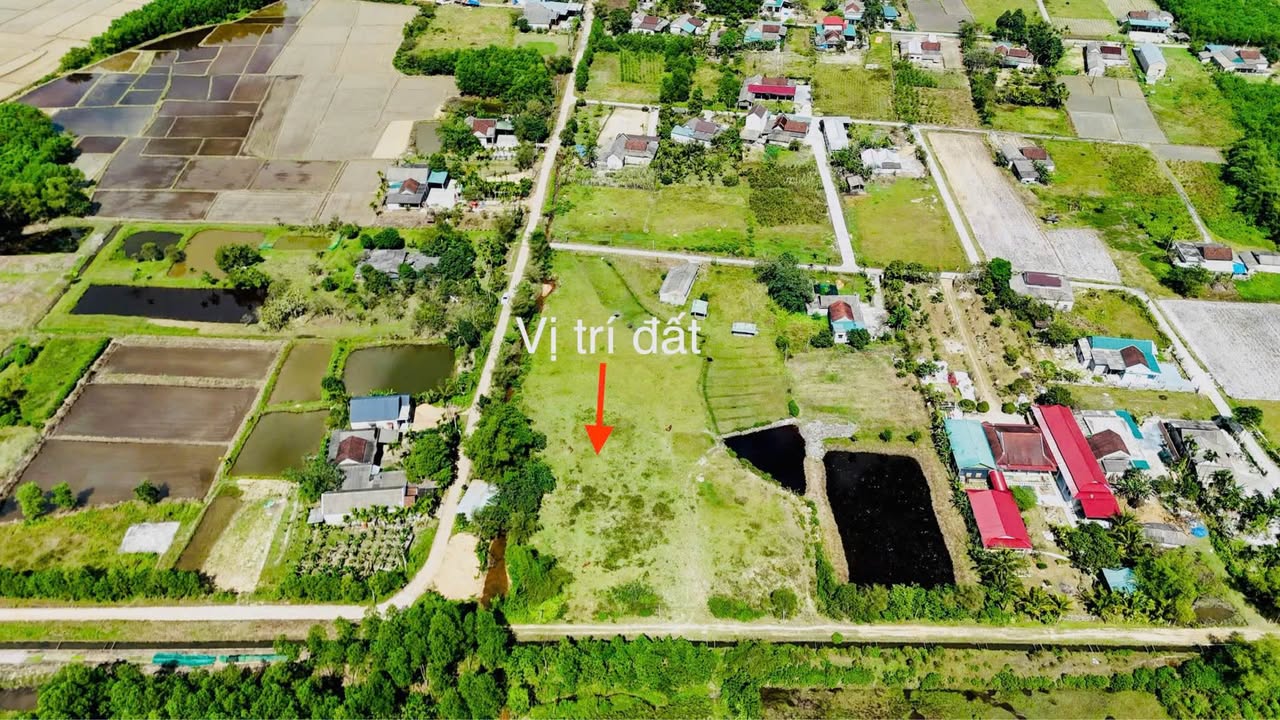 Lô đất Farm Phong Điền 3.837m² giá 3,3 tỷ - View tựa núi tuyệt đẹp!