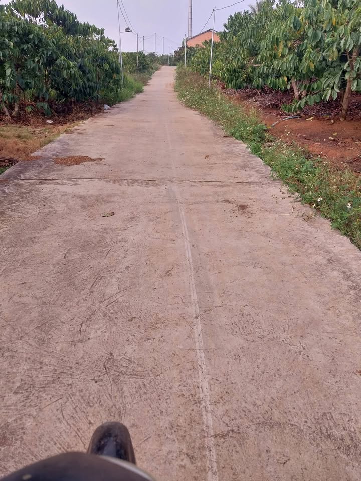 Đất nền Xã Tam Bố, Huyện Di Linh 720m² - Đầu tư tiềm năng ngay gần chợ và trường học!