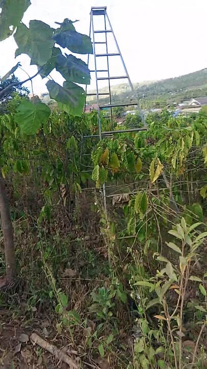 Đất nền xã Tân Văn, 3900m² giá 1.17 tỷ - Đầu tư sinh lời ngay hôm nay!