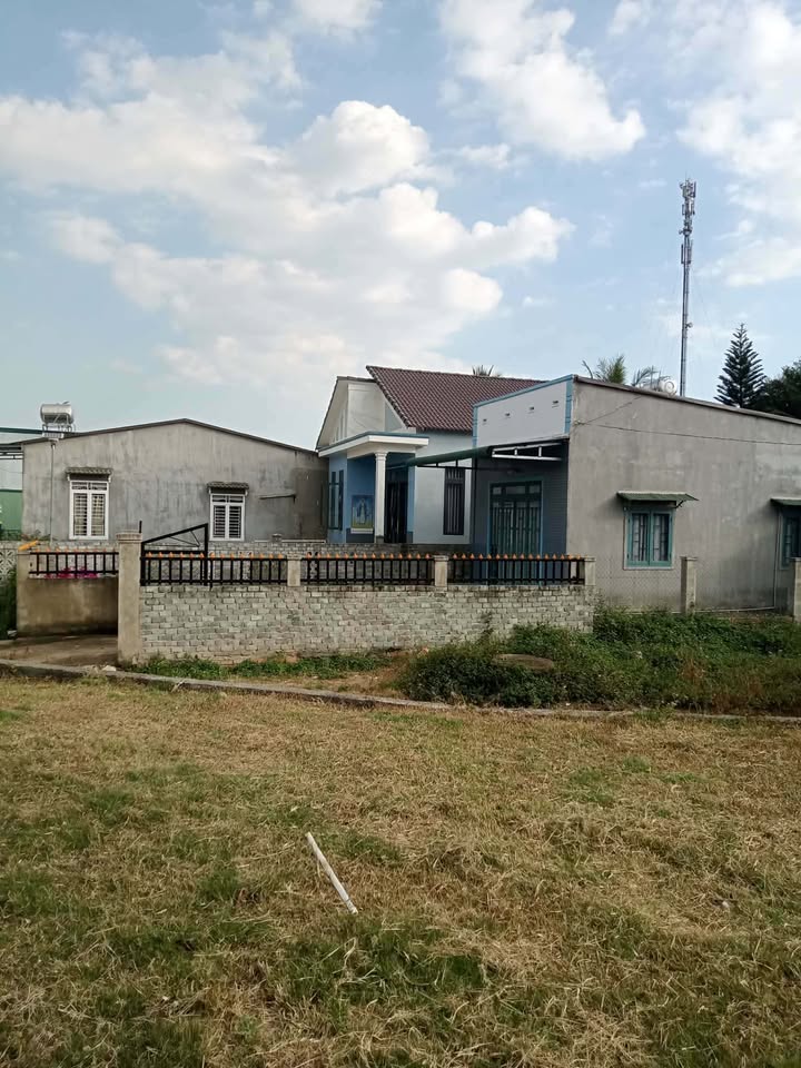 Đất nền Gia Lâm Lâm Hà 500m² chỉ 900 triệu - Sổ đỏ chính chủ