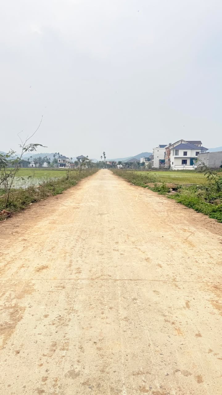 Đất nền Tân Thành, Yên Thành 275m² giá chỉ 2 tỷ - Cơ hội đầu tư tuyệt vời!