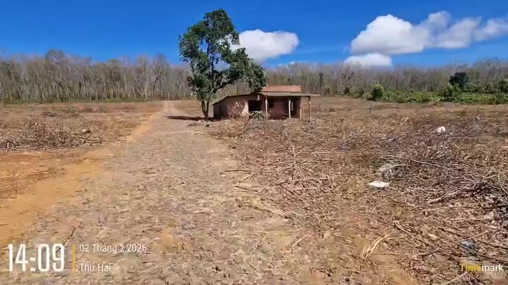 Đất nông nghiệp 5ha Ia Phí, Chư Păh, Gia Lai giá 5 tỷ - Phù hợp làm trang trại