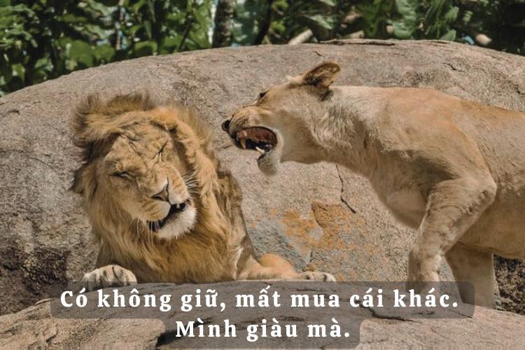 Đất nền mặt tiền Quốc Lộ 14, Phường Thiện An, 730m² chỉ 4.2 tỷ - Cơ hội đầu tư hiếm có!