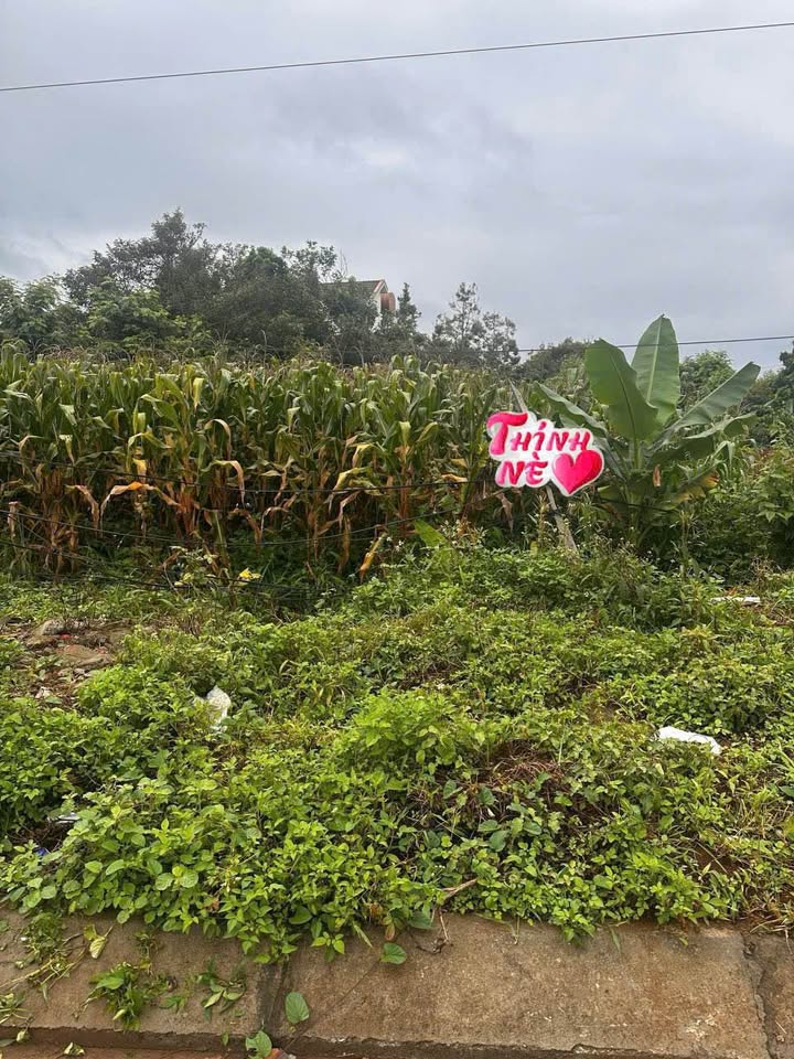 Đất mặt tiền Vành Đai 14-26, Tân An - 96m² giá 2.95 tỷ - Tiềm năng đầu tư lớn!