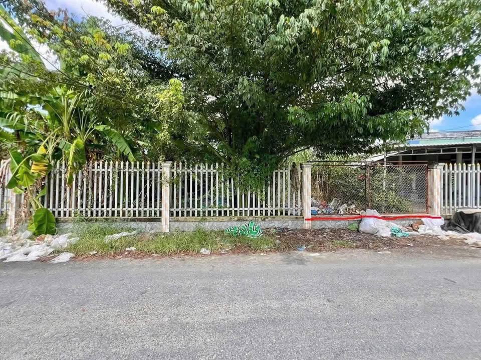 Đất mặt tiền Lộ nhựa Thới Hòa, Ô Môn 275m² giá chỉ 899 triệu - Sổ hồng chính chủ!