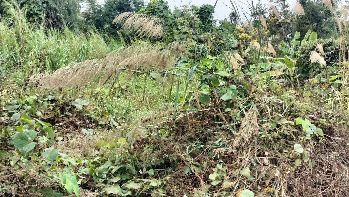 Đất nền khu 8, Phường Thanh Sơn, 73m² - Cơ hội đầu tư sinh lời!