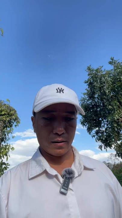 Farm 14.000m² Gia Lai - Vườn Tiêu, Dâu Tằm Sẵn Thu Nhập - Giá 1.8 Tỷ