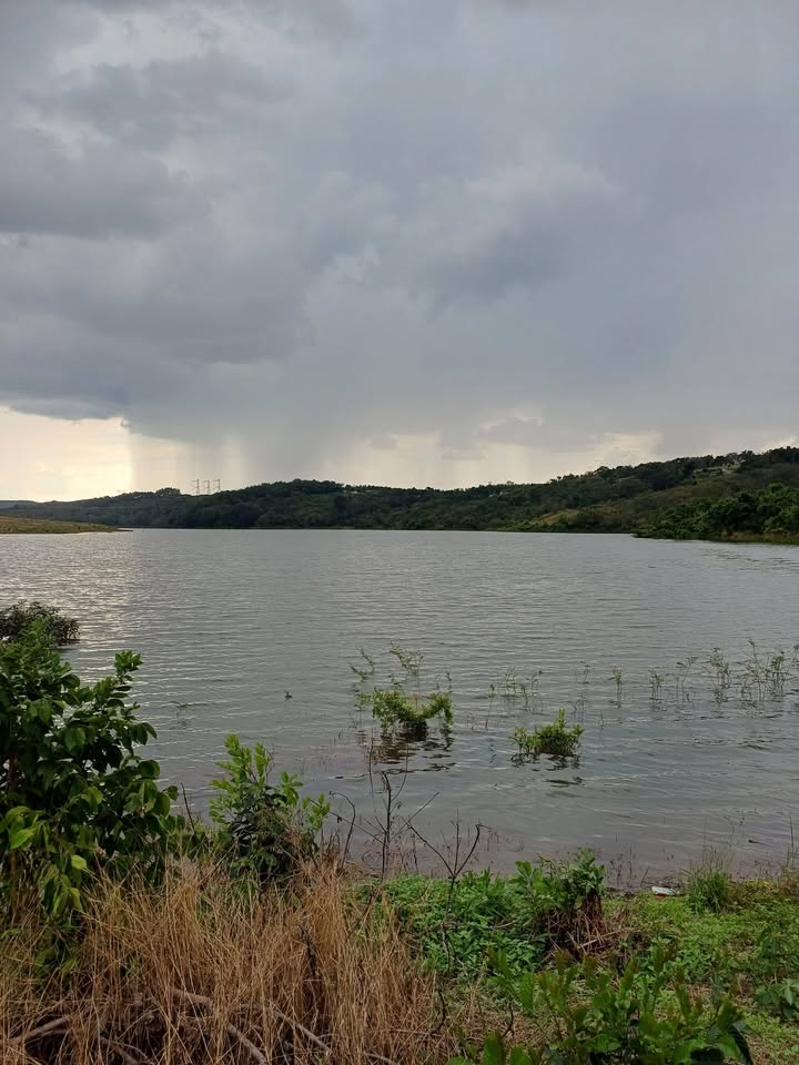 Farm 2.6ha tại Đức Liễu, Bù Đăng - Giá chỉ 4.7 tỷ, thuận lợi đầu tư!