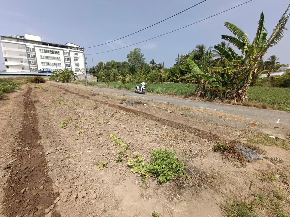 Đất nền 125m² đường Thiên Ân, Trà Vinh - Giá tốt chỉ 600 triệu/nền!