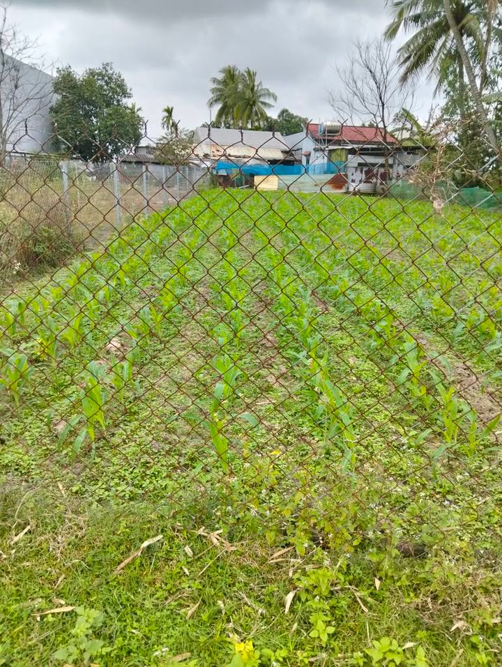 Đất nền Điện Tiến 245m² giá 1.2 tỷ - Sổ hồng chính chủ, đường bê tông thông thoáng!