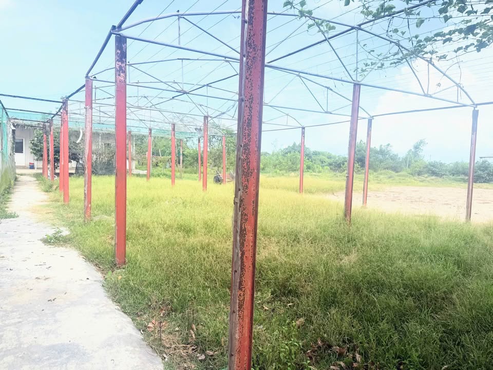 Trang trại 48.800m² tại xã Hồng Lộc, Hà Tĩnh giá 6 tỷ - Đầu tư sinh lời ngay!