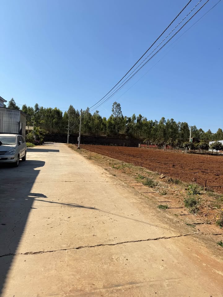 Đất thổ cư Thị trấn Thạnh Mỹ 90m² giá 800 triệu - Đường lớn, vị trí đẹp!