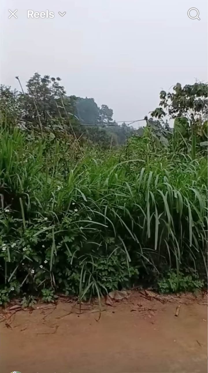 Đất nền Xã Hà Lộc - 129m² giá chỉ 700 triệu - Đầu tư sinh lợi ngay!