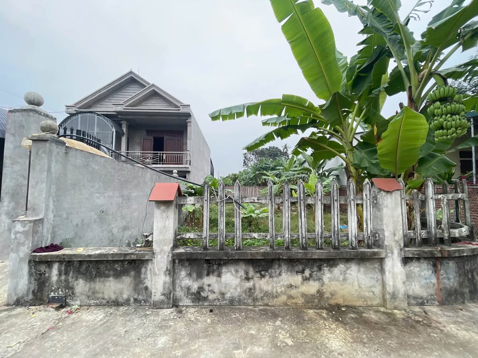 Đất nền Hợp Châu, Tam Đảo 137m² chỉ 600 triệu - Cơ hội vàng đầu tư!