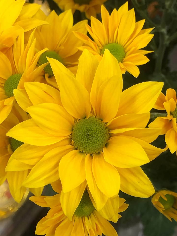 Đất nền Đường Kim Liên 2, Phường Hải Vân 100m² giá 3 tỷ - Đối diện chợ sắp mở!