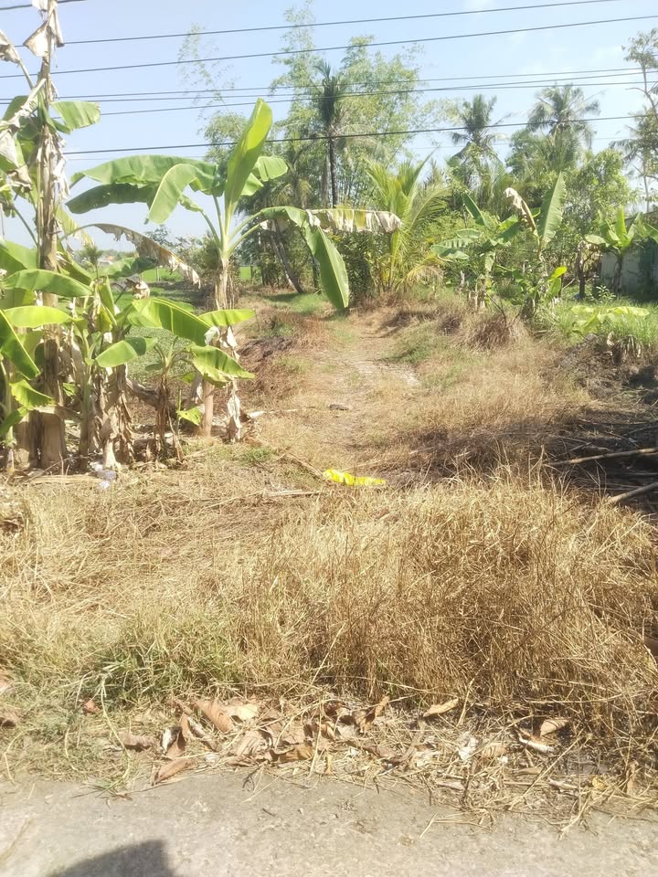 Đất nền Ấp Bà Chăng, Xã Vĩnh Hưng, Huyện Vĩnh Lợi, 325m² giá 160 triệu - Cơ hội đầu tư hấp dẫn!