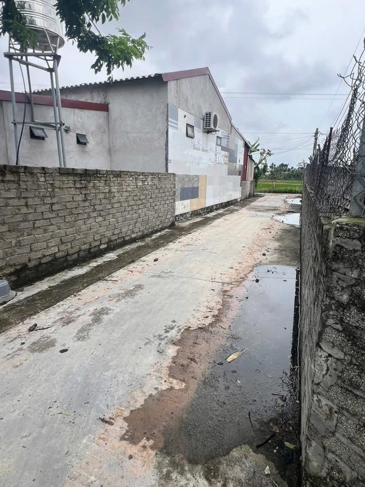 Đất nền 100m² tại xã Hồng Dụ, huyện Ninh Giang - Đường ô tô tận đất, giá tốt thương lượng!