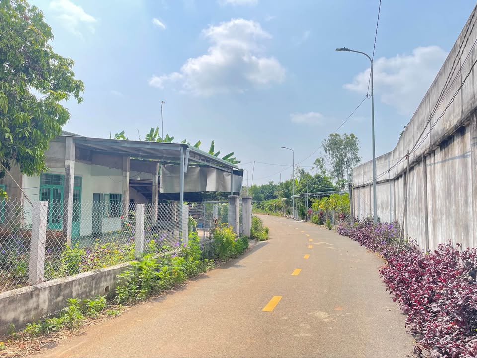 Đất Sào Long Phước, TP Bà Rịa 1100m² giá 3.2 tỷ - Nhà vườn view hồ lý tưởng!