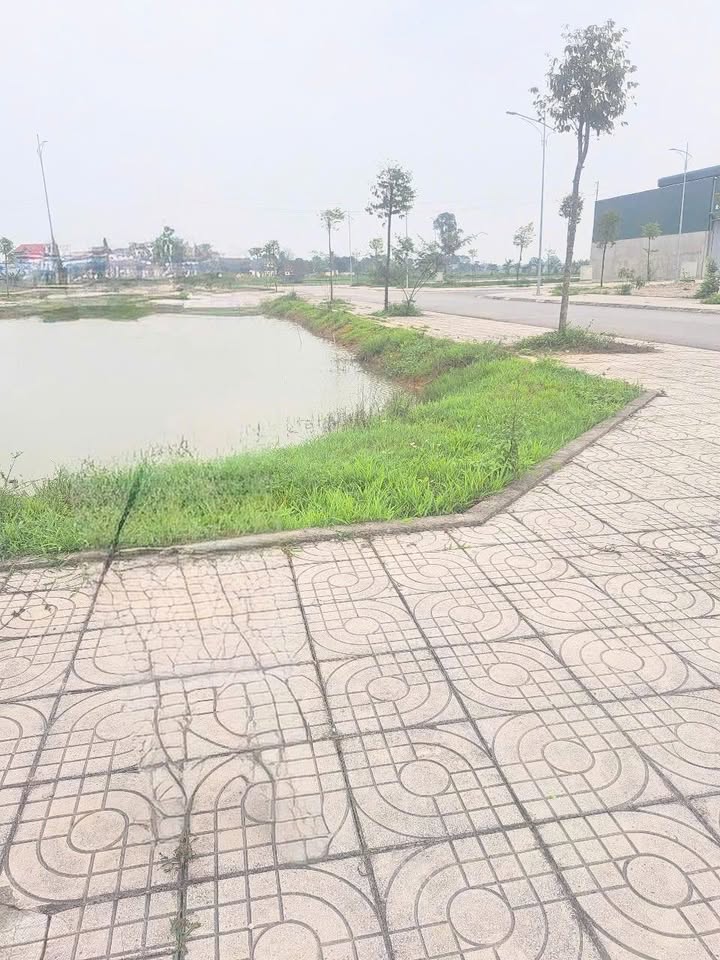 Bán gấp FrontHouse MB4144 Đông Quang 260m² giá 4.9 tỷ - Vị trí đẹp, đầu tư sinh lời!