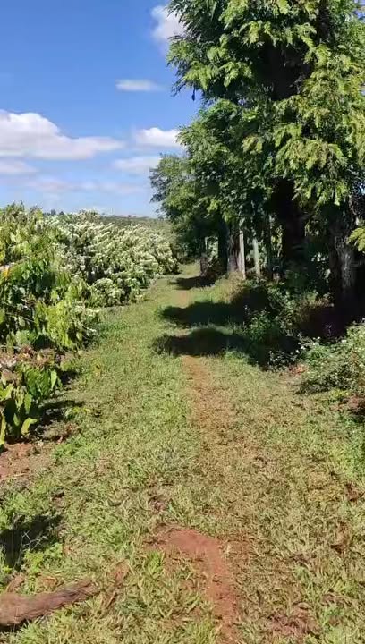 Đất nền 1ha xã Ia Phìn, huyện Chư Prông, giá 3.3 tỷ - Tiềm năng phát triển vượt bậc!