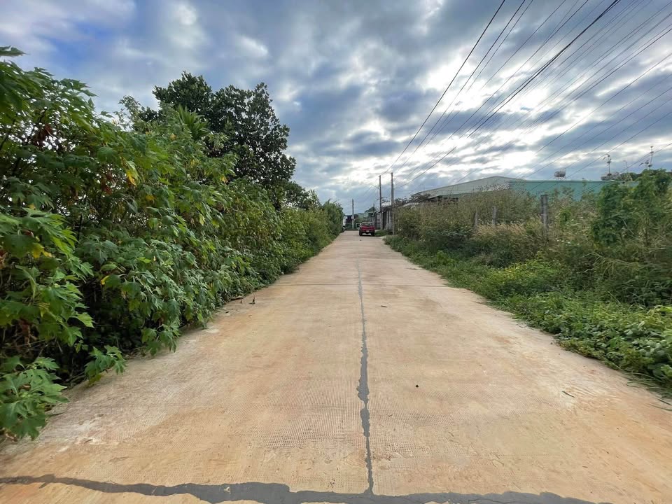 Đất nền 02 Hẻm Hoàng Sa, Pleiku 180m² giá 699 triệu - Sổ đỏ chính chủ!