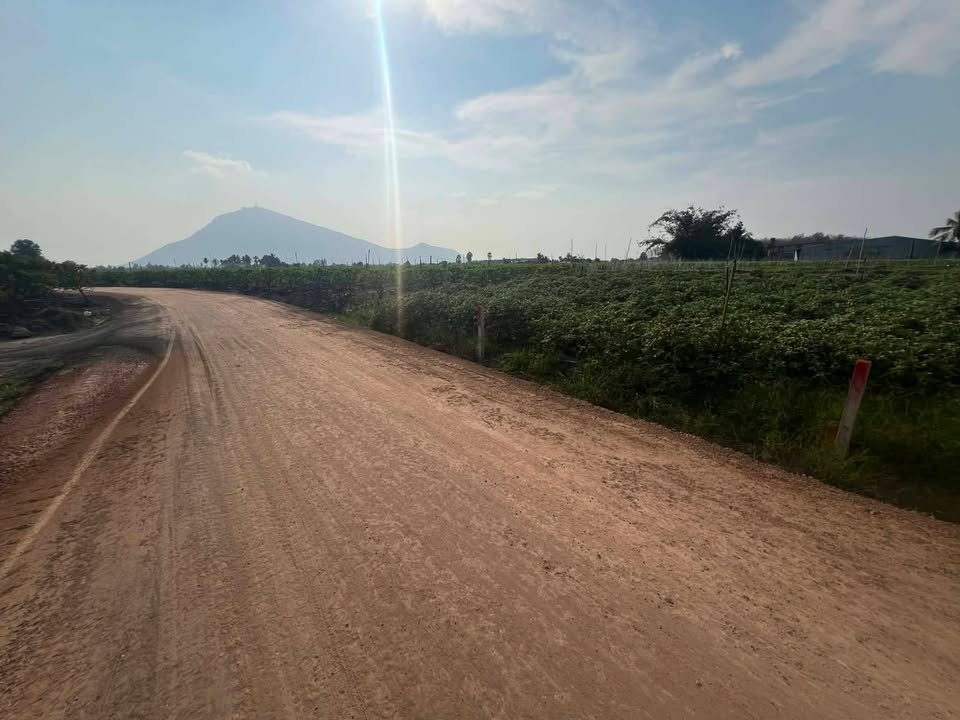 Đất nền Dương Minh Châu 250m² - View Núi tuyệt đẹp, giá chỉ 2xx triệu!