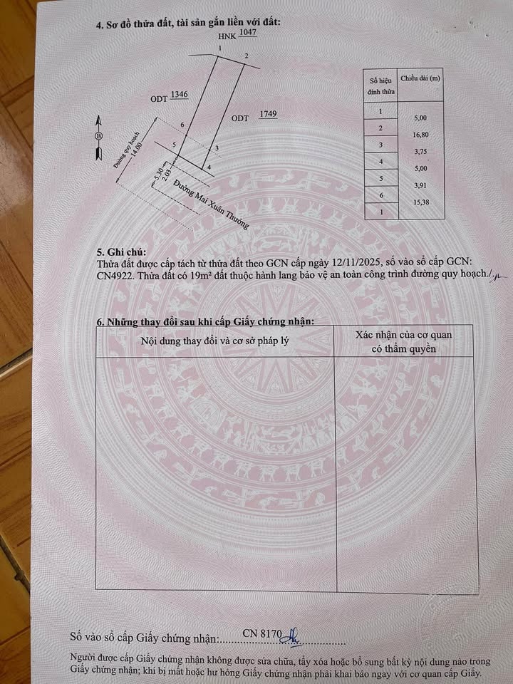 Đất nền liền kề Tăng Long, Bình Định 100m² giá 800 triệu - Cơ hội đầu tư tuyệt vời!
