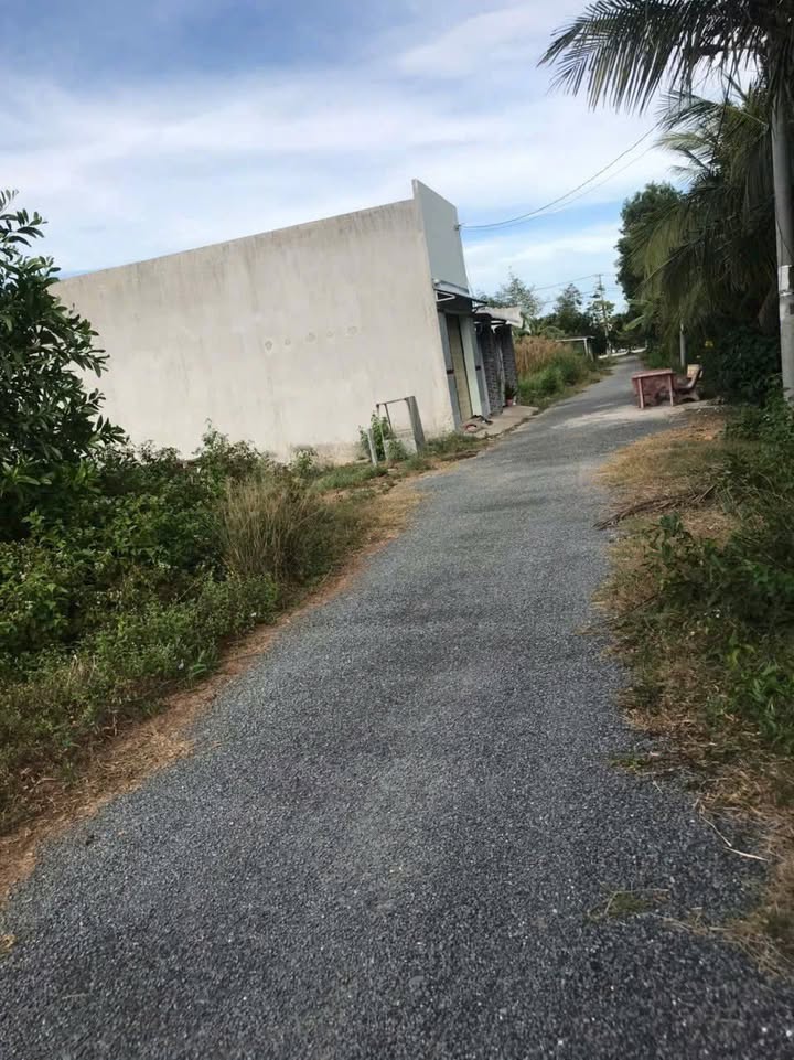 Đất nền thổ cư Huyện Củ Chi 115m² giá chỉ 550 triệu - Đầu tư sinh lời ngay!