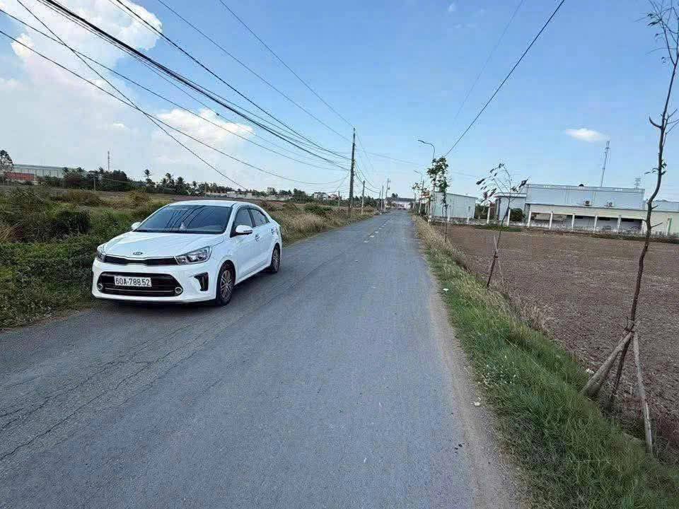 Đất nền Tân Lân Cần Đước 100m² giá chỉ 250 triệu - Sổ hồng riêng, vị trí đẹp!