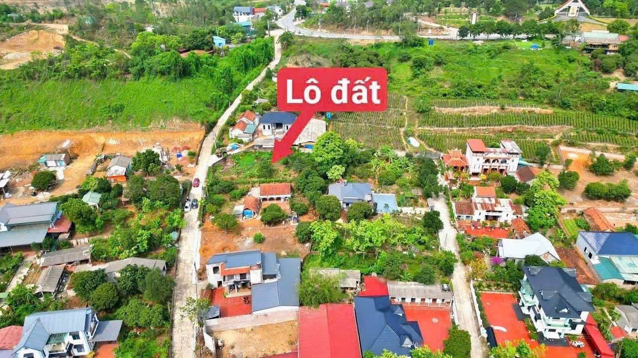 Đất nghỉ dưỡng Tam Đảo 800m² giá thỏa thuận - Tiềm năng đầu tư lớn!