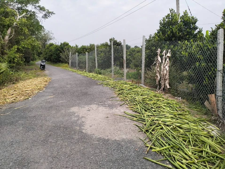 Đất nông nghiệp tại xã Tân Nhuận Đông 3059m² giá 1.7 tỷ - Cơ hội đầu tư hấp dẫn!