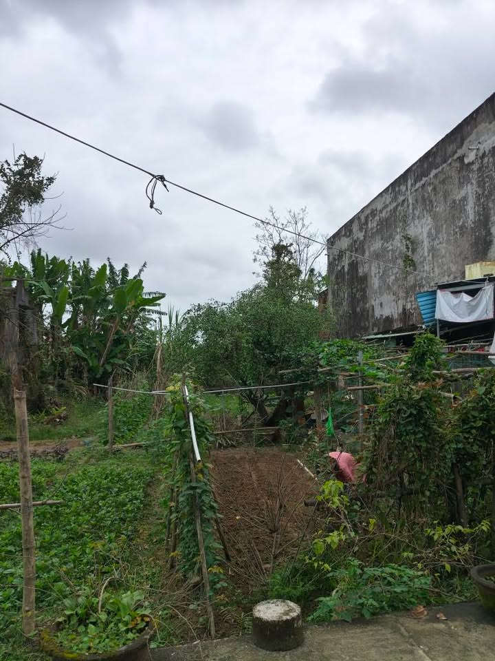 Đất nền liền kề phường Điện Ngọc 250m² - Đầu tư sinh lời ngay!