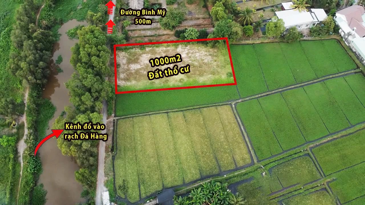 Đất Thổ Cư 1000m² View Rạch - Đường Lớn Bình Mỹ, Củ Chi