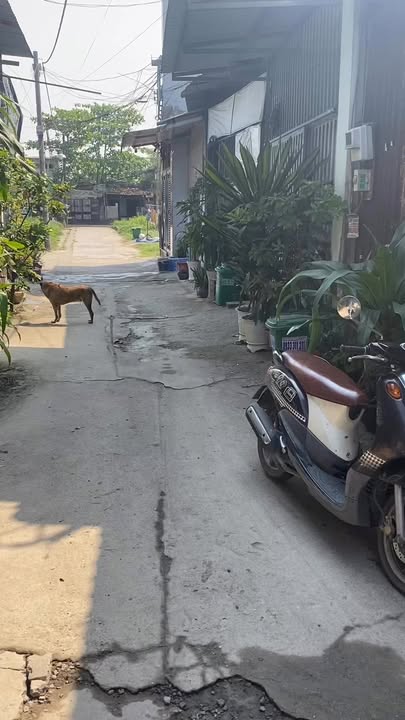 Nhà 1 lầu 1 trệt tại Vĩnh Lộc B, Bình Chánh 34m² giá chỉ 1.15 tỷ - Sẵn sàng vào ở ngay!