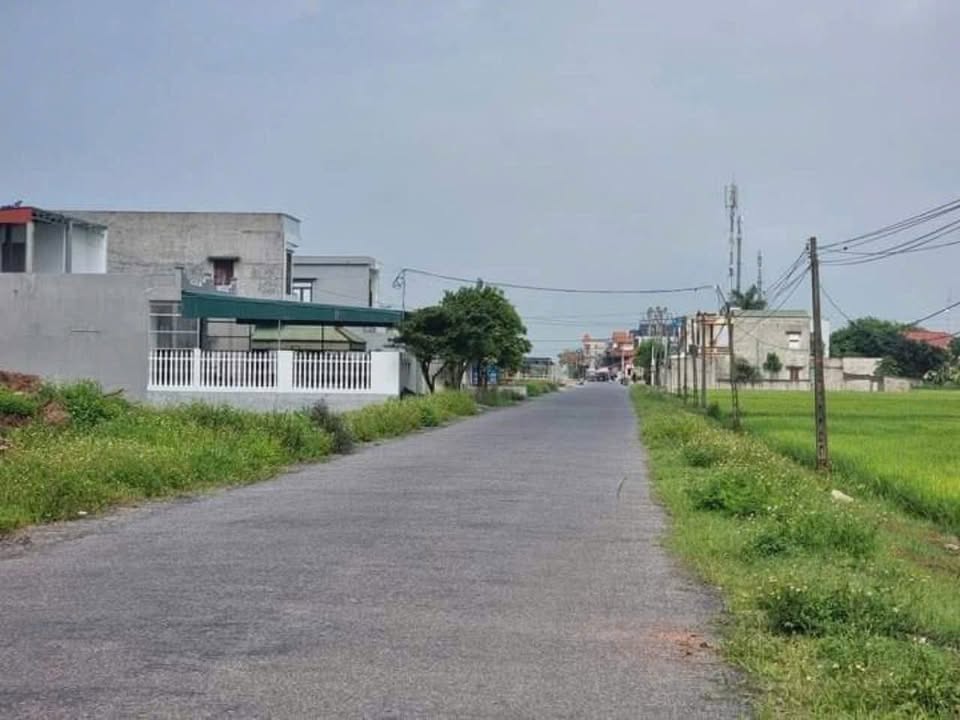 Đất nền xã Thuần Thành, Thái Thụy 100m² giá chỉ 900 triệu - Cơ hội đầu tư tuyệt vời!