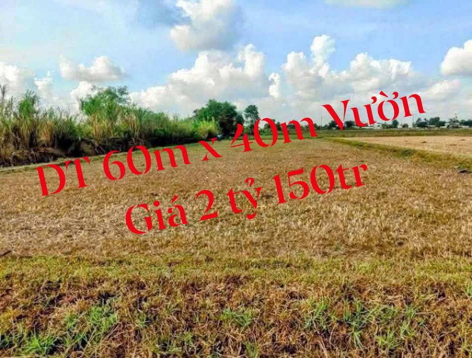 Đất vườn 2400m² tại Ấp Rừng Sến, Long An - Giá chỉ 2.15 tỷ!