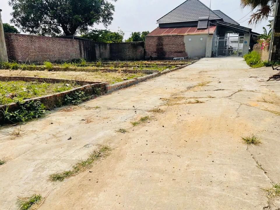 Đất nền xã Nội Bài, Sóc Sơn 56m² giá 1.5 tỷ - Đường ô tô vào tận nơi!