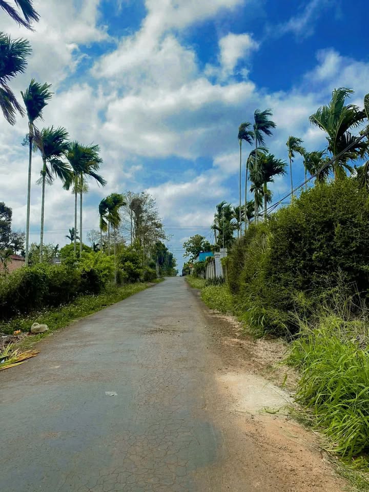 Đất Nền 552m² Nở Hậu - Hướng Đông Đường Nguyễn Thái Bình, Phan Thiết