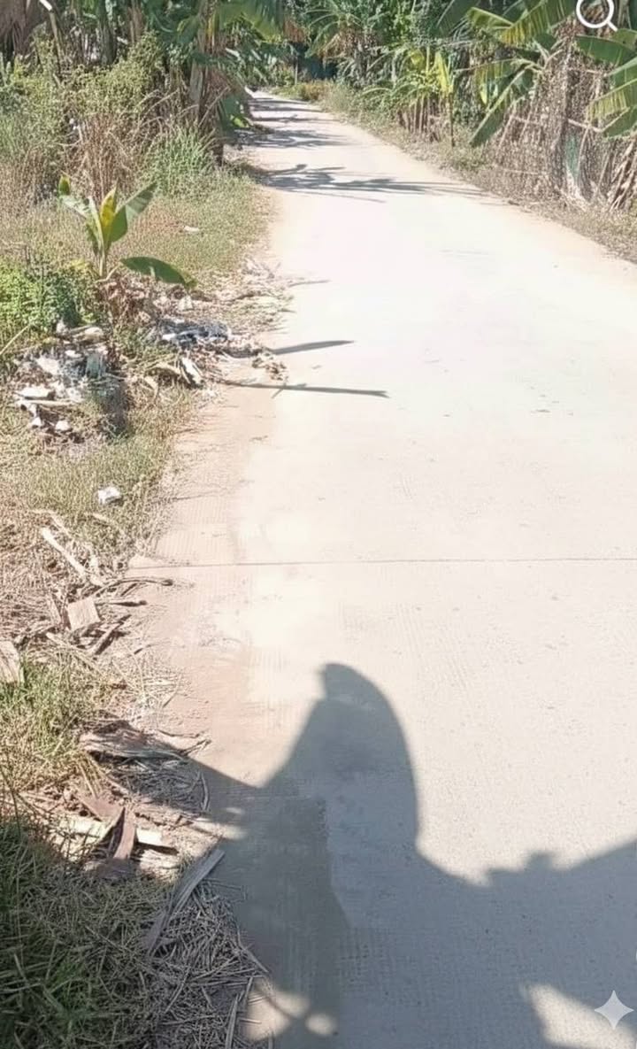 Đất nền Mỹ Thạnh, Ba Tri, Bến Tre 2000m² giá 590 triệu - Cơ hội đầu tư hiếm có!