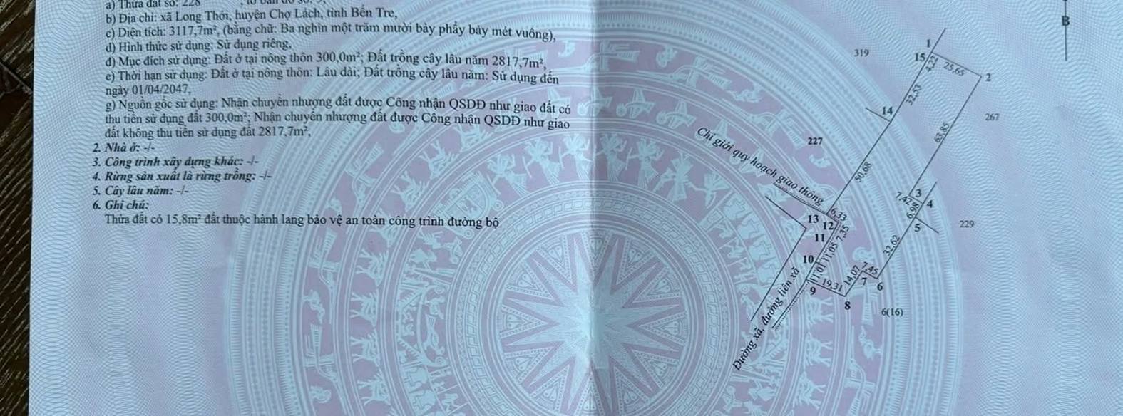 Đất vườn 13.300m² Xã Long Thới, Huyện Chợ Lách giá 11,3 tỷ - đầu tư sinh lời ngay!